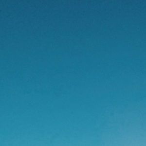 Meet your Posher, Mallory